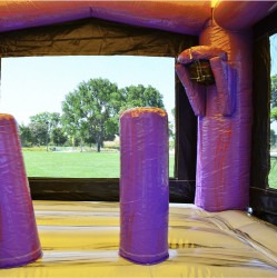 IMG 4417 1752972199 1 Thunder Dual Lane Combo (Wet or Dry)