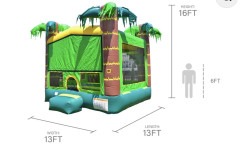 IMG 4590 1768326911 1 Tropical Aloha Bounce House (DRY ONLY)