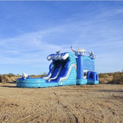 IMG 5247 1769300903 1 Dolphin Dual Lane Combo (Wet or Dry)